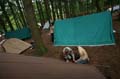 FinnFoto_204033